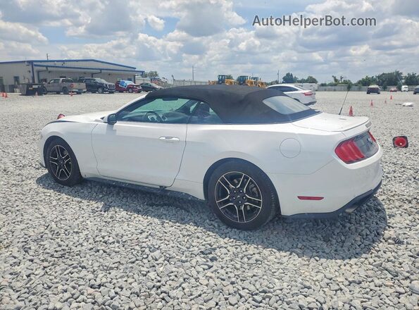 1FATP8UH4P5105697 2023 FORD MUSTANG Белый Задняя левая четверть