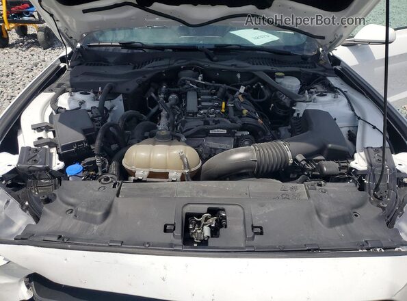 1FATP8UH4P5105697 2023 FORD MUSTANG Белый Вид задней части салона