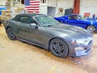 2019 Ford Mustang Charcoal vin: 1FATP8UH5K5159146 2019 Ford Mustang Charcoal vin: 1FATP8UH5K5159146