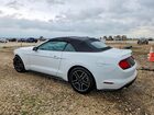 2023 Ford Mustang Белый vin: 1FATP8UH5P5110858