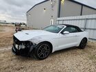 2023 Ford Mustang Белый vin: 1FATP8UH5P5110858 Damage: Left Front Fender, Severe Damage, Replacement Required