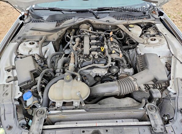 1FATP8UH5P5110858 2023 FORD MUSTANG Белый Вид задней части салона