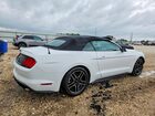 2023 Ford Mustang Белый vin: 1FATP8UH5P5110858