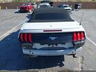 2020 Ford Mustang Ecoboost Premium Белый vin: 1FATP8UH6L5125928