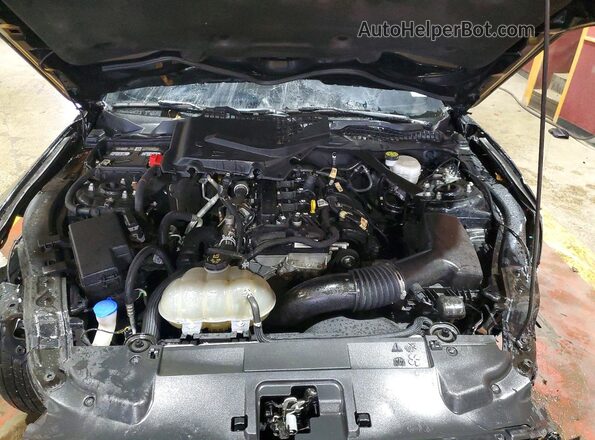 1FATP8UH7P5110750 2023 FORD MUSTANG Black Սալոնի հետևի տեսք