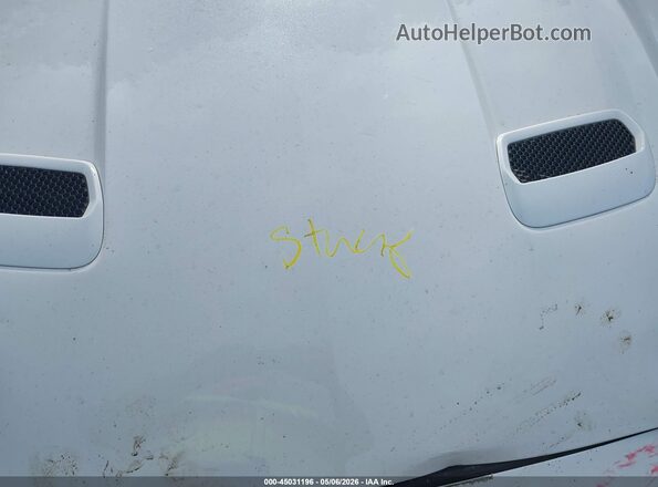 1FATP8UHXK5149003 2019 FORD MUSTANG White Vista trasera