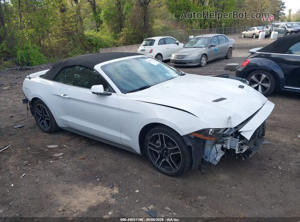 1FATP8UHXK5149003 2019 FORD MUSTANG White Vista interior trasera