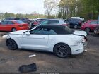 2019 Ford Mustang Ecoboost Premium White vin: 1FATP8UHXK5149003