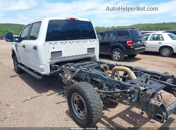 1FD7W2BT0KEG56040 2019 FORD F-250 White Tył lewy