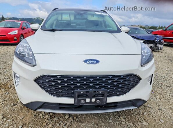 1FMCU0DZ4LUB86838 2020 FORD ESCAPE Белый Вид спереди