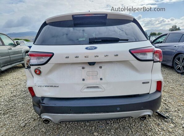 1FMCU0DZ4LUB86838 2020 FORD ESCAPE Белый Вид сзади