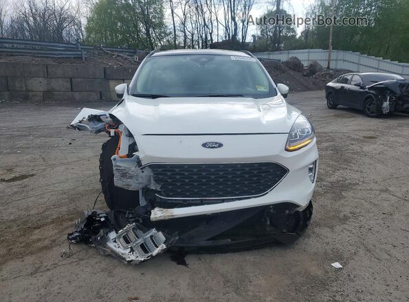 1FMCU0DZ8LUB55527 2020 FORD ESCAPE Белый Вид спереди
