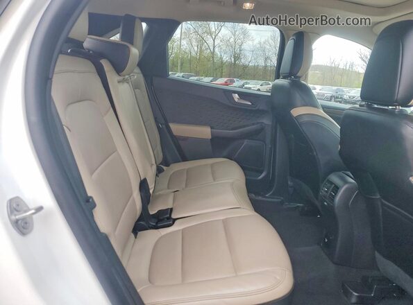 1FMCU0DZ8LUB55527 2020 FORD ESCAPE Белый Вид задней части салона