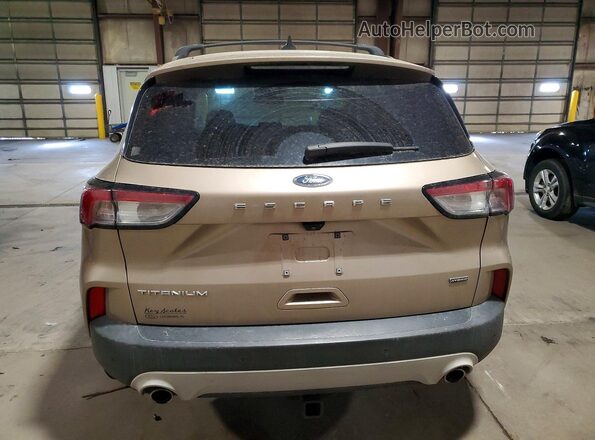 1FMCU0DZ8LUB58363 2020 FORD ESCAPE Золотой Вид сзади