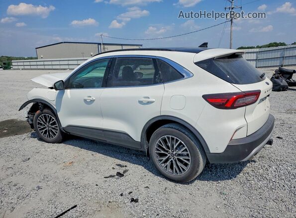 1FMCU0E12RUA84875 2024 FORD ESCAPE Белый Задняя левая четверть