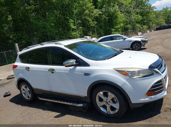 1FMCU0F79GUB20397 2016 FORD ESCAPE Белый Вид задней части салона