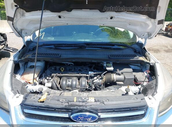 1FMCU0F79GUB20397 2016 FORD ESCAPE Белый Вид сзади