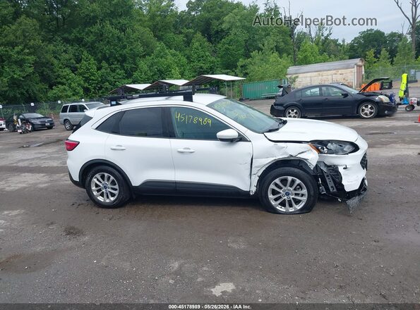 1FMCU0G65LUB44504 2020 FORD ESCAPE Белый Вид задней части салона