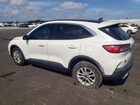 2021 Ford Escape Se White vin: 1FMCU0G66MUB16972