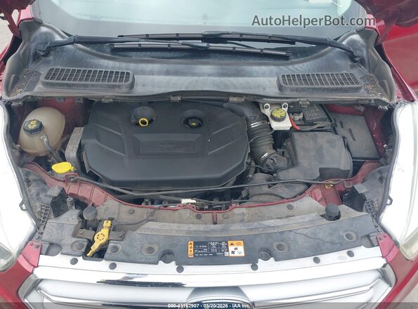 1FMCU0G92HUB31419 2017 FORD ESCAPE Красный Вид сзади