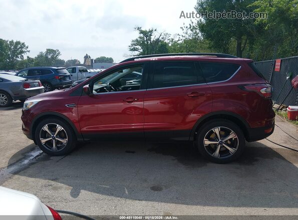 1FMCU0GD0HUA81298 2017 FORD ESCAPE Красный Панорамный вид салона 360°