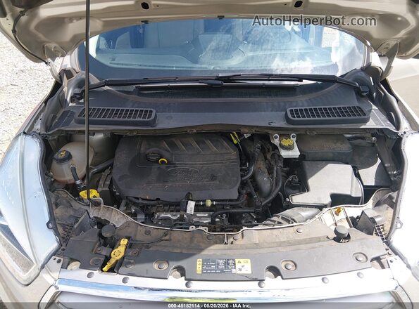 1FMCU0GD0HUD04620 2017 FORD ESCAPE Gold უკანა ხედი