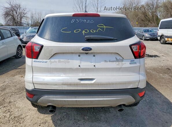 1FMCU0GD0KUB37926 2019 FORD ESCAPE Белый Вид сзади