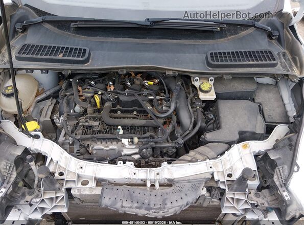 1FMCU0GD1KUA35003 2019 FORD ESCAPE White Widok z tyłu