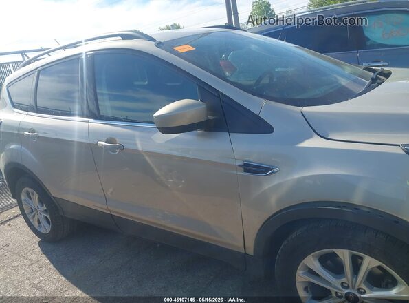 1FMCU0GD2JUD03264 2018 FORD ESCAPE Золотой Вид задней части салона