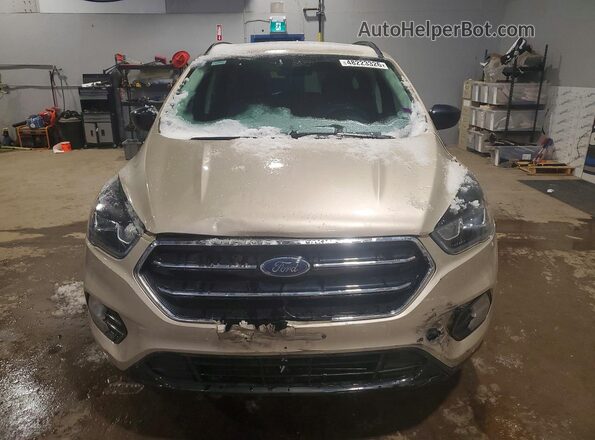 1FMCU0GD3HUE99497 2017 FORD ESCAPE Gold Vista frontal