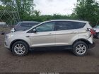 2017 Ford Escape Se Золотой vin: 1FMCU0GD4HUD83595