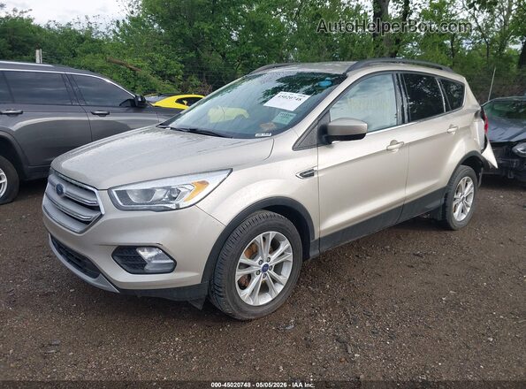1FMCU0GD4HUD83595 2017 FORD ESCAPE Золотой Передняя левая четверть