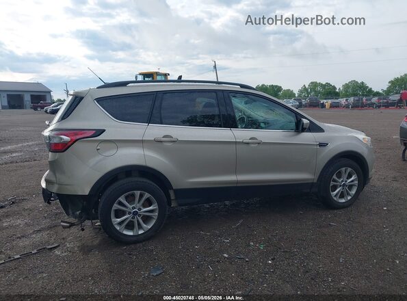 1FMCU0GD4HUD83595 2017 FORD ESCAPE Золотой Вид задней части салона