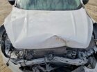 2019 Ford Escape Se White vin: 1FMCU0GD4KUB10101 2019 Ford Escape Se White vin: 1FMCU0GD4KUB10101