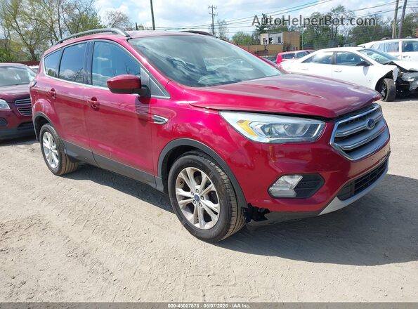1FMCU0GD5HUB20726 2017 FORD ESCAPE Красный Передняя правая четверть