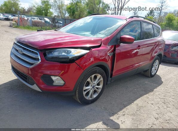 1FMCU0GD5HUB20726 2017 FORD ESCAPE Красный Передняя левая четверть