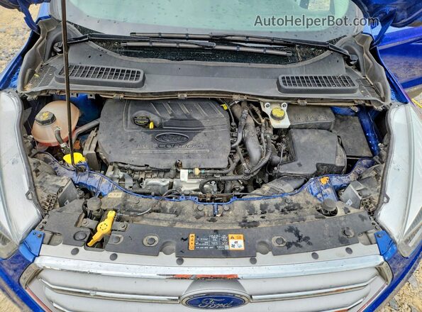 1FMCU0GD5HUE72639 2017 FORD ESCAPE Blue Widok wnętrza z tyłu