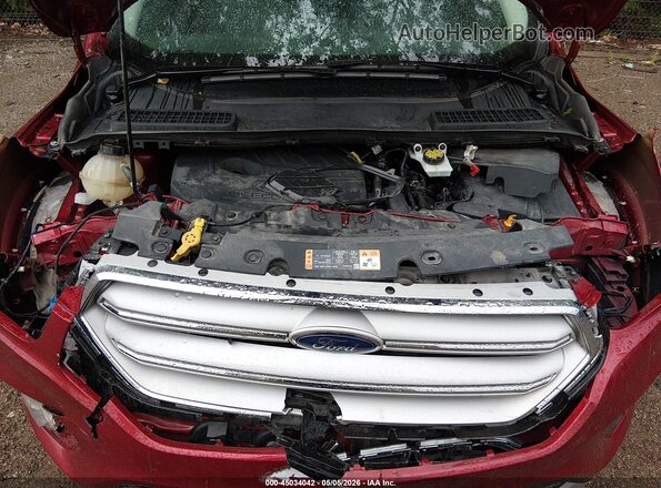 1FMCU0GD6JUA81814 2018 FORD ESCAPE Красный Вид сзади