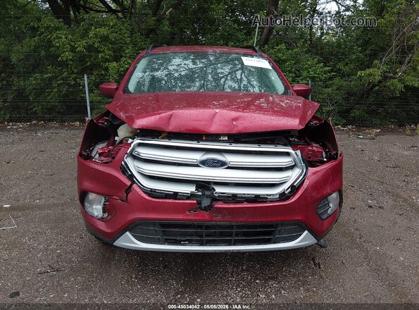 1FMCU0GD6JUA81814 2018 FORD ESCAPE Красный Вид задней части салона