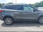 2019 Ford Escape Se Gray vin: 1FMCU0GD6KUB20144 2019 Ford Escape Se Gray vin: 1FMCU0GD6KUB20144