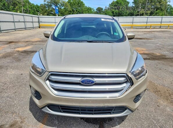 1FMCU0GD8HUE06683 2017 FORD ESCAPE Gold Вид спереду
