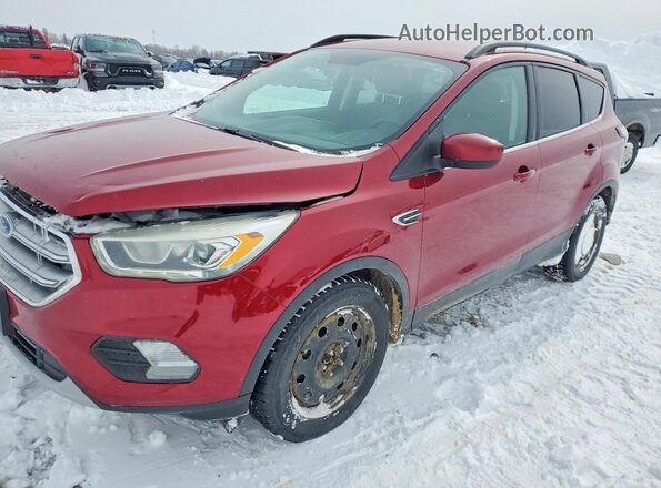 1FMCU0GD9HUE58839 2017 FORD ESCAPE Красный Передняя левая четверть