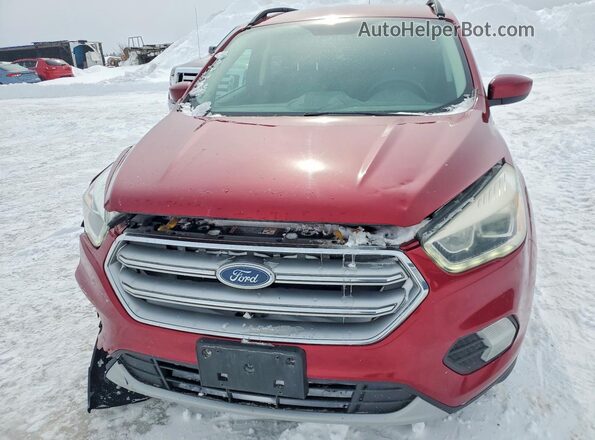 1FMCU0GD9HUE58839 2017 FORD ESCAPE Красный Вид спереди