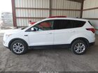 2019 Ford Escape Se Белый vin: 1FMCU0GD9KUA31264