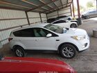 2019 Ford Escape Se Белый vin: 1FMCU0GD9KUA31264
