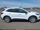 2023 Ford Escape Active White vin: 1FMCU0GN9PUA11368
