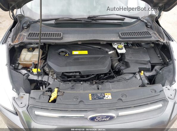 1FMCU0GX3GUB81565 2016 FORD ESCAPE Серый Вид сзади