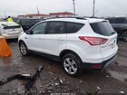 2016 Ford Escape Se Бежевый vin: 1FMCU0GX4GUC65913