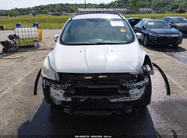 1FMCU0GX7GUC11005 2016 FORD ESCAPE Белый Вид спереди