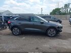2020 Ford Escape Sel Gray vin: 1FMCU0H64LUC03556